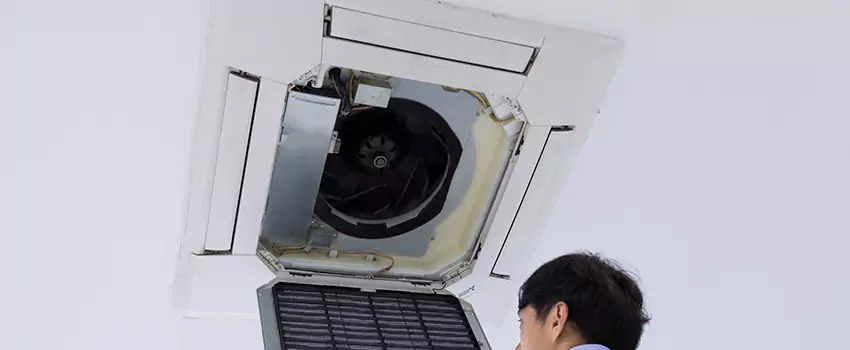Benefits of Professional Air Duct Cleaning in Rocky River, Ohio